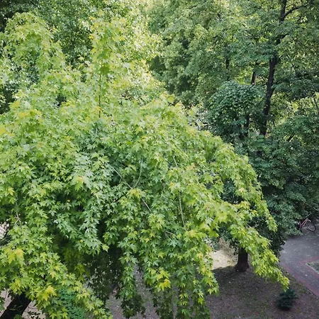 Aski Hoza * Warszawa