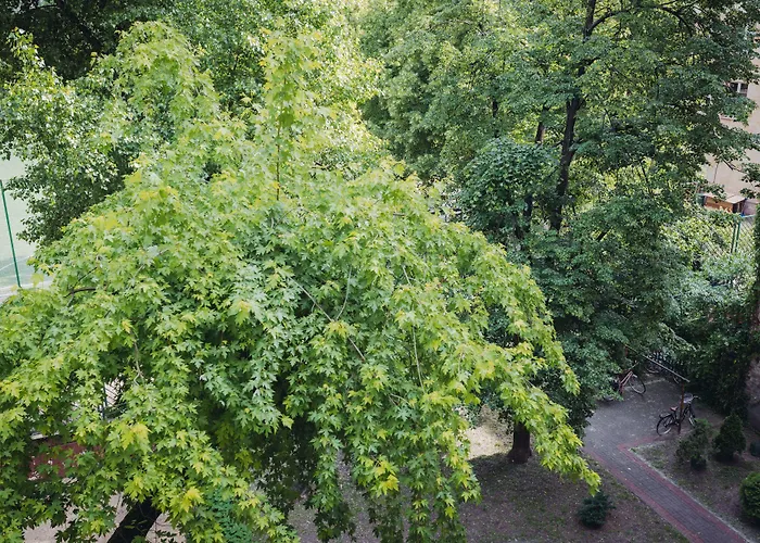 아파트 Aski Hoza *